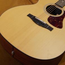 Eastman AC122-1CE_2