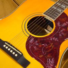 Epiphone Hummingbird Studio FCS_3