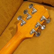 Epiphone Hummingbird Studio FCS_14