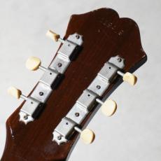 Epiphone 1967 FT-45N Cortez_9