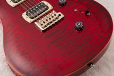 Paul Reed Smith [PRS] SE Custom 24 Quilt ～Ruby～ #CTIH080447 [3.53kg]【2026年製】_7