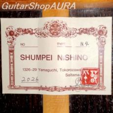 Shunpei Nishino　[西野　春平] N-4(40号)ハウザーモデル_5