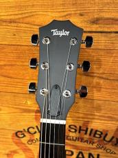 Taylor 【限定カラー】414ce Studio Special Edition Honeyburst 【国内入荷10本のみ】【48回無金利】_4
