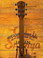 Taylor 【限定カラー】414ce Studio Special Edition Honeyburst 【国内入荷10本のみ】【48回無金利】_6