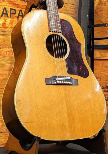 Gibson 【5/29までの限定特価】J-50【1961年製 VINTAGE】【極上の鳴り】【セラミックサドル】【ハカランダ指板】
