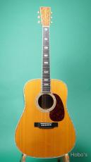 Martin D-45_2