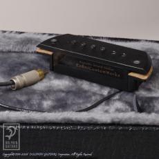 Fujii Guitars G23-SGCT Flower (Madagascar Rosewood)_14