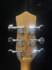 Danelectro DC-3 Pro_6