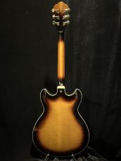 Ibanez AS153_5