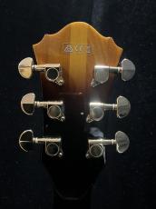 Ibanez AS153_6