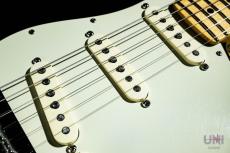 Fender American Professional Stratocaster / 2016_4
