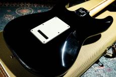 Fender American Professional Stratocaster / 2016_7