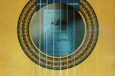 ARIA AC-70F　松/シカモア　2000年代