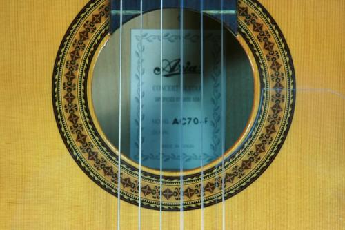 ARIA AC-70F　松/シカモア　2000年代