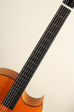 Marchione Guitars Finger Style 15inch Acoustic Archtop 2014_5