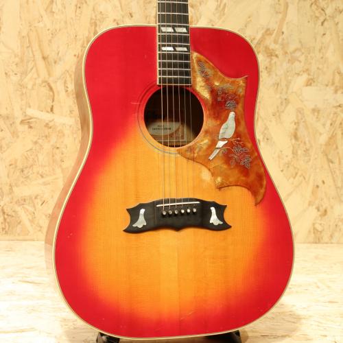 Gibson Dove Custom CS 1981
