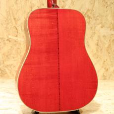 Gibson Dove Custom CS 1981_2