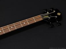 Spector Legend 4 Custom [Black Stain Gloss]_5