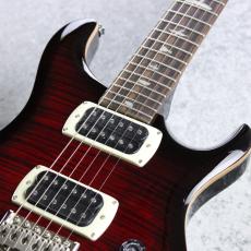 Paul Reed Smith [PRS] SE Custom 24 ~Fire Red Burst~ #CTI H082972 [3.37kg][2025年製]_2