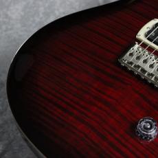 Paul Reed Smith [PRS] SE Custom 24 ~Fire Red Burst~ #CTI H082972 [3.37kg][2025年製]_3