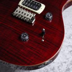 Paul Reed Smith [PRS] SE Custom 24 ~Ruby~ #CTI H071330 [3.45kg][2025年製]_4