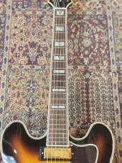 Epiphone Sheraton / Vintage Sunburst #25061510492 [3.95kg]_4