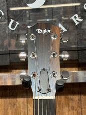 Taylor 【NAMM Cacth Event 限定モデル!】214ce RW Special Editon Honey Burst_7