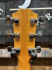 Taylor 【NAMM Cacth Event 限定モデル!】214ce RW Special Editon Honey Burst_8