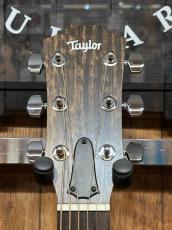 Taylor 【NAMM Cacth Event 限定モデル!】112ce Special Editon Honey Burst_6