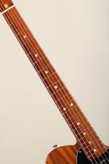 Fender Custom Shop MBS All Rosewood Telecaster by Mark Kendrick 2007_6