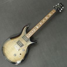Paul Reed Smith [PRS] S2 Custom 24 Gray Black【2014年製】【新緑ギター祭2026】_2