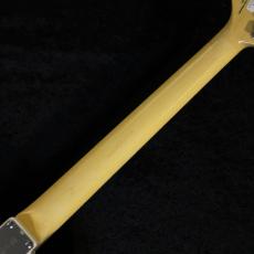 FUJIGEN 【アッシュボディ×ローズ指板】NTE100RAH White Blonde #H250257【軽量3.39kg】_9