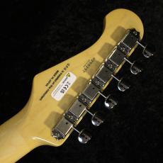 FUJIGEN 【アッシュボディ×ローズ指板】NTE100RAH White Blonde #H250257【軽量3.39kg】_10