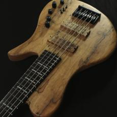 Sire F10dx 5st-#2N26A30027【4.82 kg】_5
