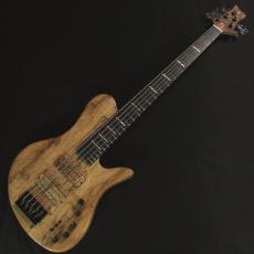 Sire F10dx 5st-#2N26A30027【4.82 kg】_10