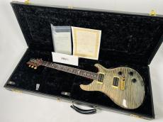 Paul Reed Smith [PRS] 【サウンドメッセ2026 目玉品】Private Stock Custom 22 Artist III【2006年製】【3.57kg】_10