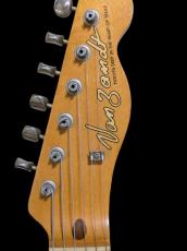 Vanzandt TLV-R1 96年Body 99年Neck (LOLLAR　CharlieChristian Pickup)　_7