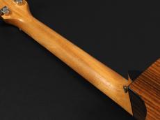 Taylor 212ce Plus Rosewood ~Natural~【新製品!】_10