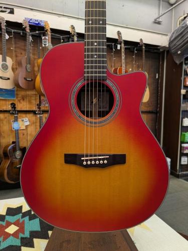 Morris R-14 CS 【L.R.Baggs Element搭載】