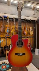 Morris R-14 CS 【L.R.Baggs Element搭載】_2