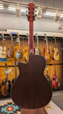 Morris R-14 CS 【L.R.Baggs Element搭載】_4
