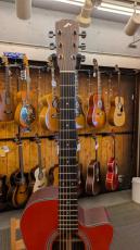 Morris R-14 CS 【L.R.Baggs Element搭載】_6