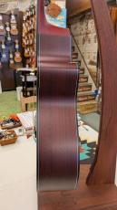 Morris R-14 CS 【L.R.Baggs Element搭載】_10