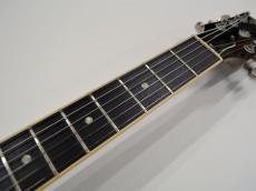 Gibson ES-335 DOT_5