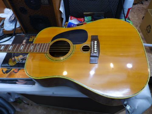 Guland  Guitar WSF-50