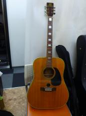 Guland  Guitar WSF-50_6