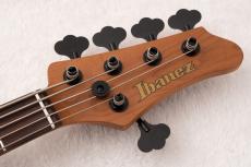 Ibanez MDM1605 ~Natural Mocha Low Gloss / NML~ #260113381 [3.91kg]_9