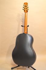 Ovation Patriot Bicentennial　1976年製_5