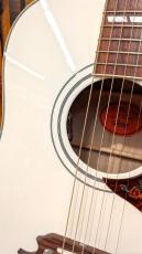 Gibson Custom Shop【ご購入特典アリ!】Dove Alpine White【限定製作モデル】【白く輝くダヴ】【48回払い無金利】_4
