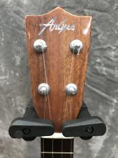 Argas AC-01_4